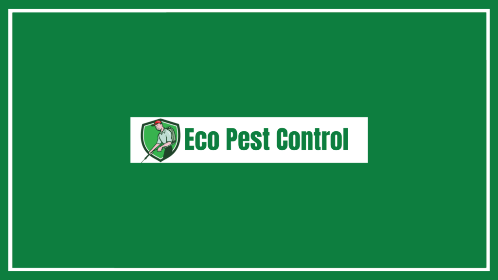 eco-pest-control