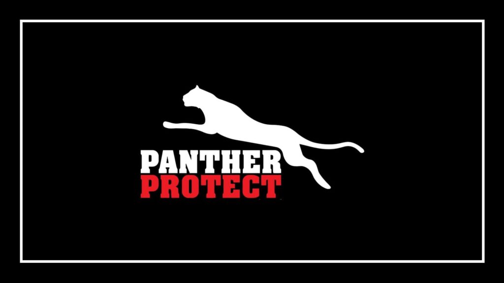 panther-protect-security-mesh-system