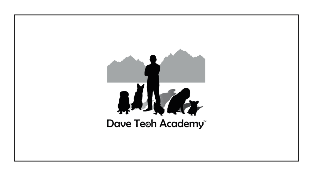dave-teoh-academy-knine-dog-services