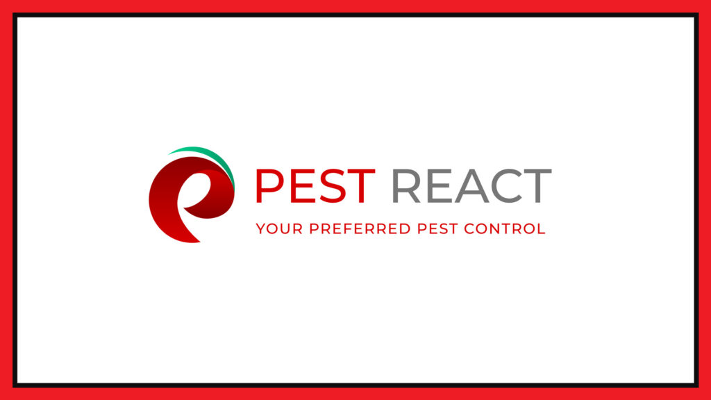 pest-react-logo