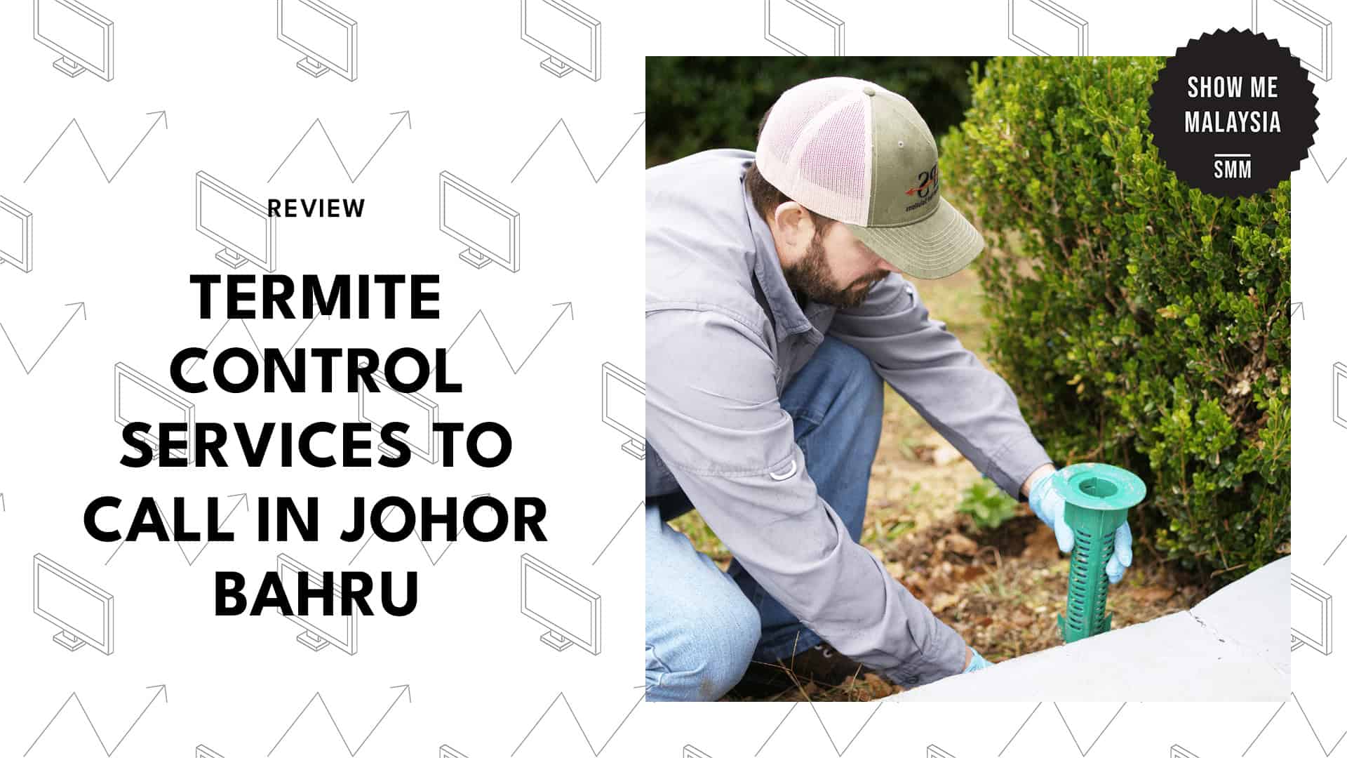 reliable-termite-controls-in-kuala-lumpur