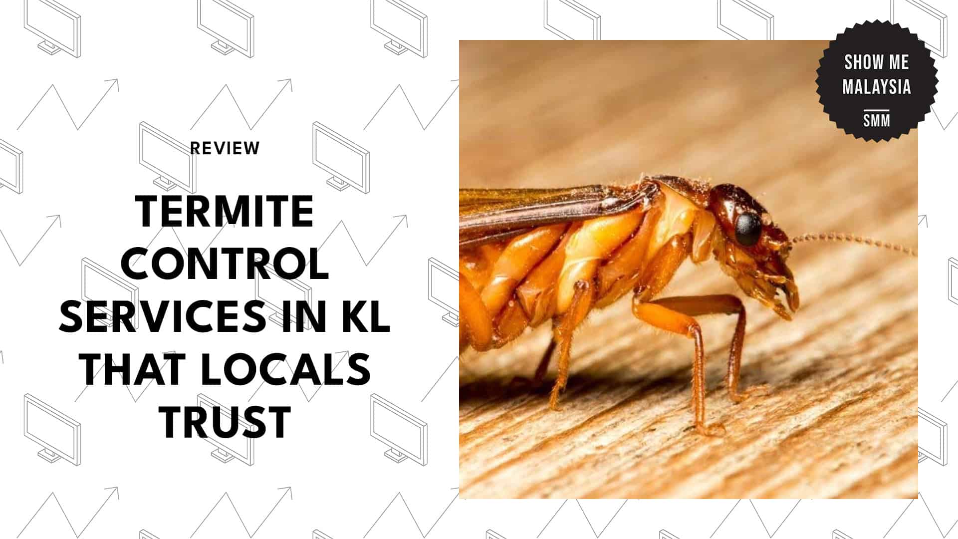 termite-controls-in-kuala-lumpur