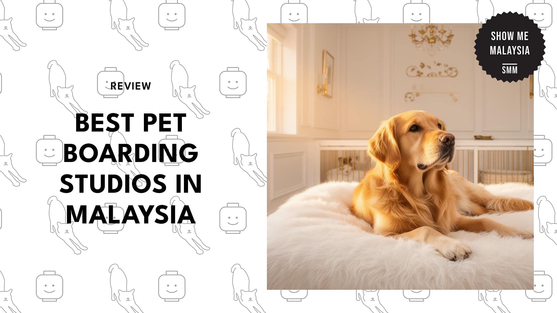 best-pet-boarding-malaysia