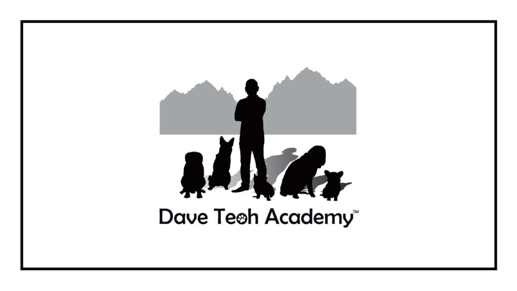 dave-teoh-academy