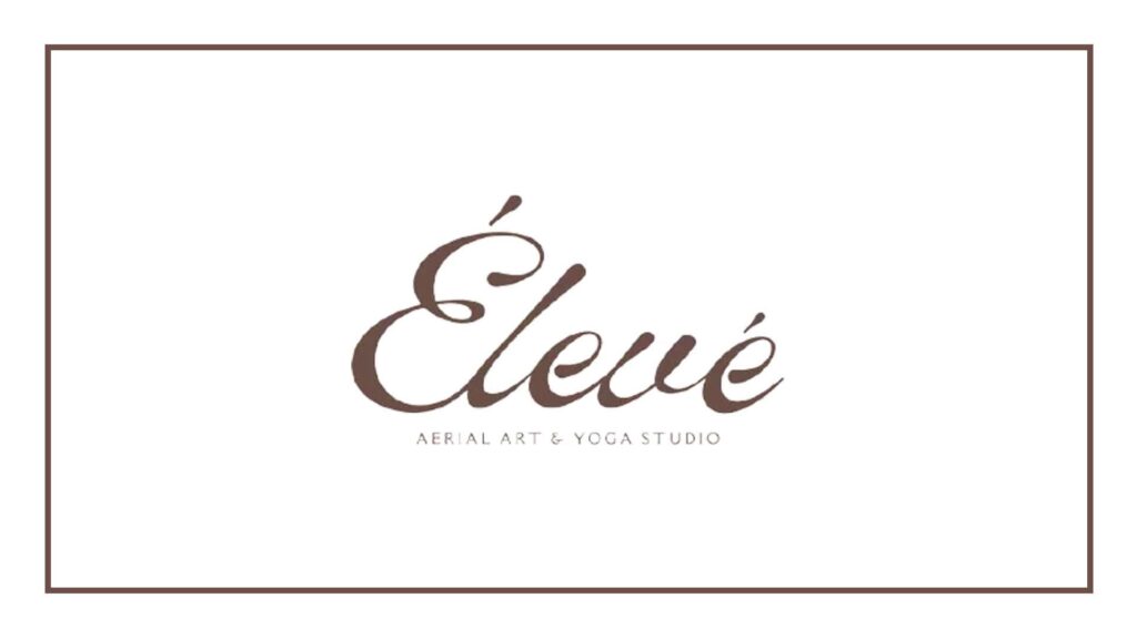 eleve-aerial-art-yoga-studio