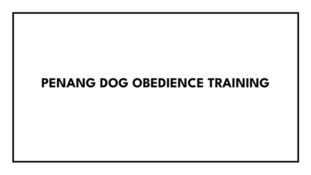 penang-dog-obedience-training