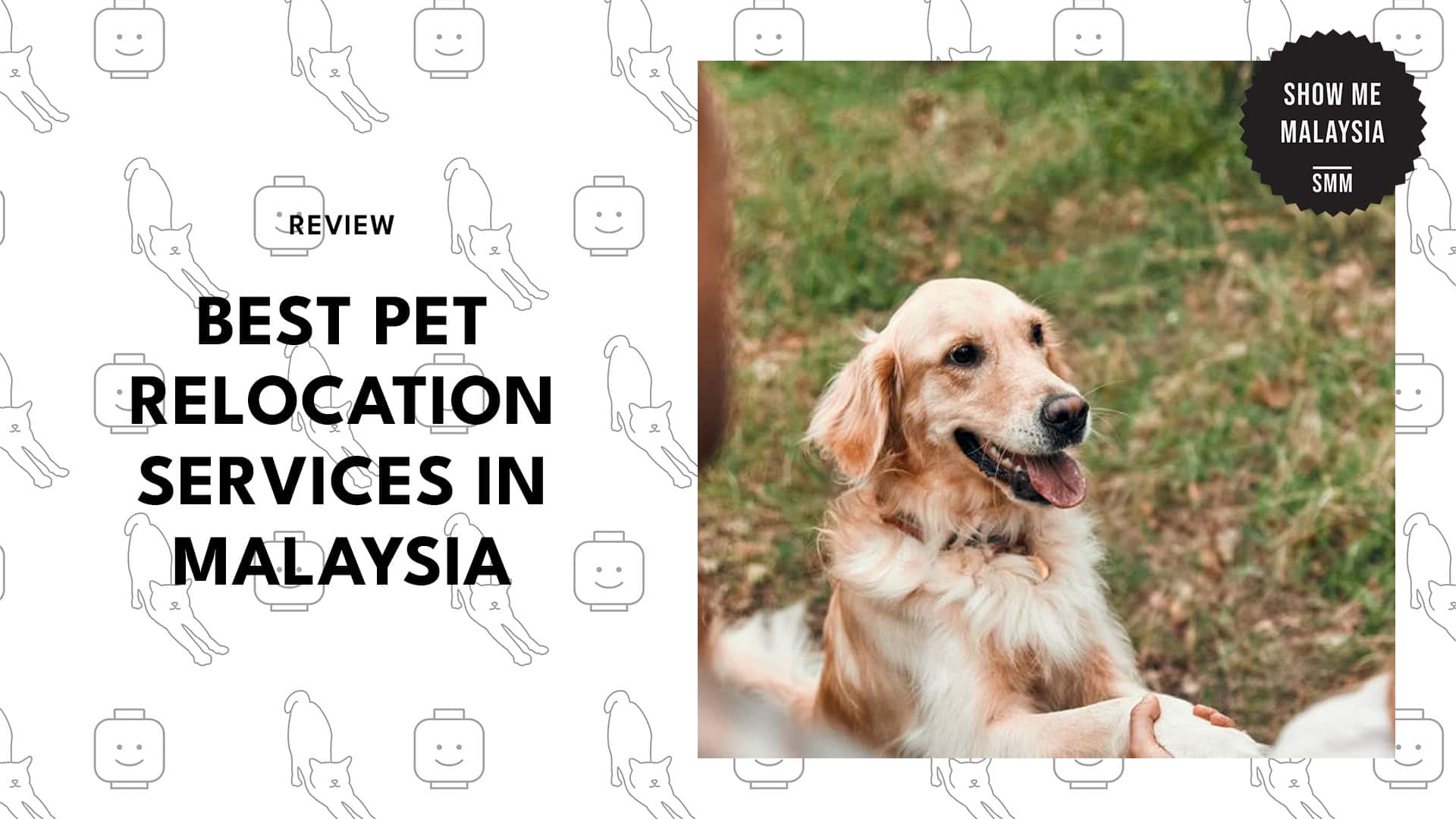 best-pet-relocations-malaysia