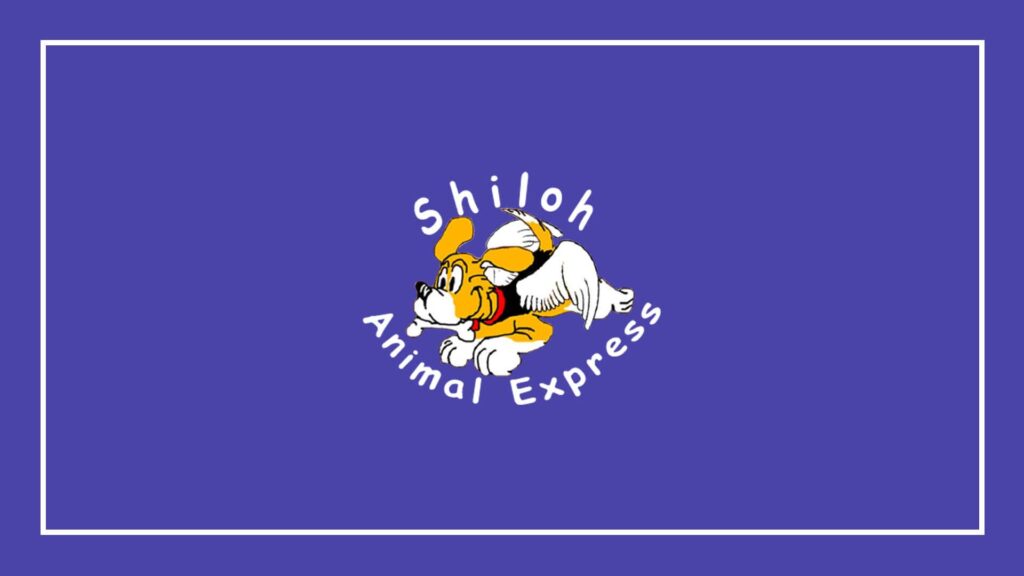 shiloh-animal-express-pet-relocation