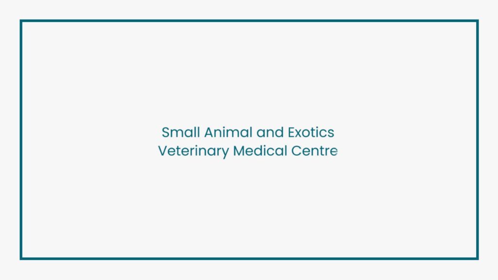 small-animal-and-exotics-veterinary-medical-centre