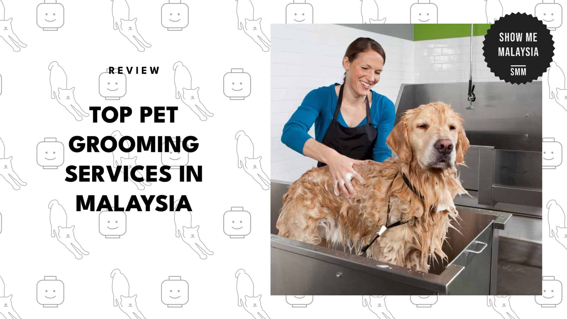 best-pet-grooming-malaysia