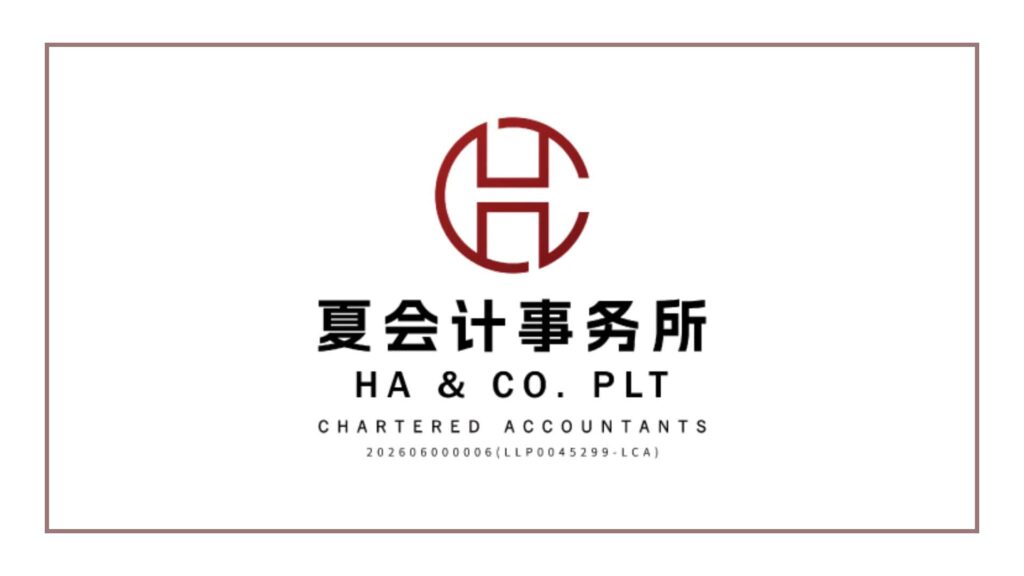 ha-co-chartered-accountants