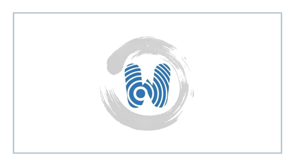 wanconnect-consulting-group